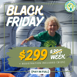 BLACK FRIDAY SUMMER / BROWARD