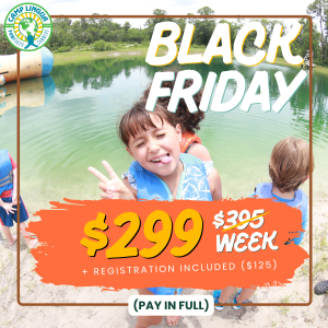 BLACK FRIDAY SUMMER / WEST PALM